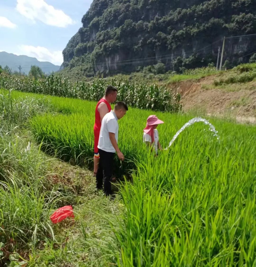 长丰乡：干群同心齐上阵 抗旱保收润民心