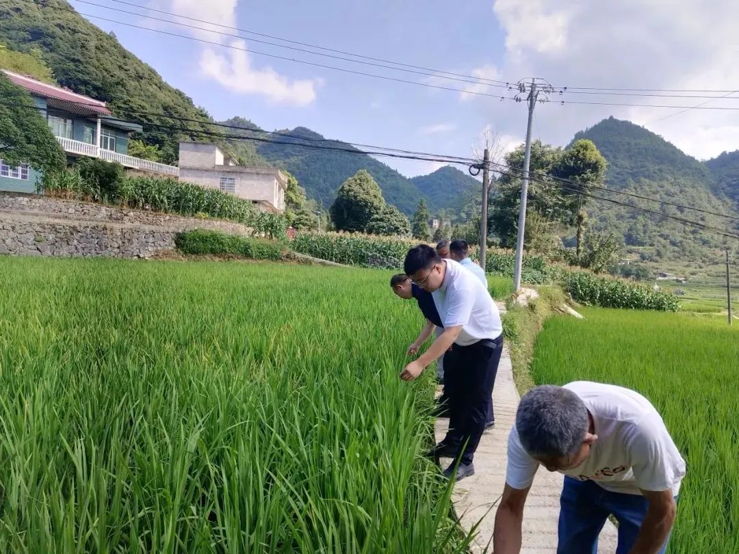 龙泉乡：党建引领保民生 干群齐心应“烤”验